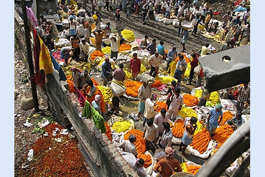 Viaggio in India 2008 - Calcutta